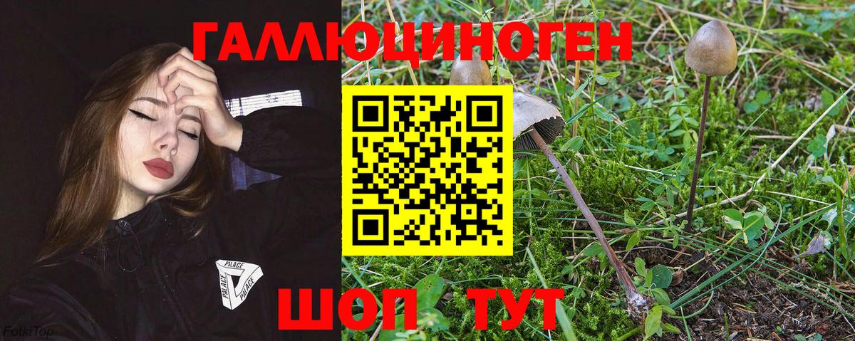 Псилоцибиновые грибы MAGIC MUSHROOMS Волжский