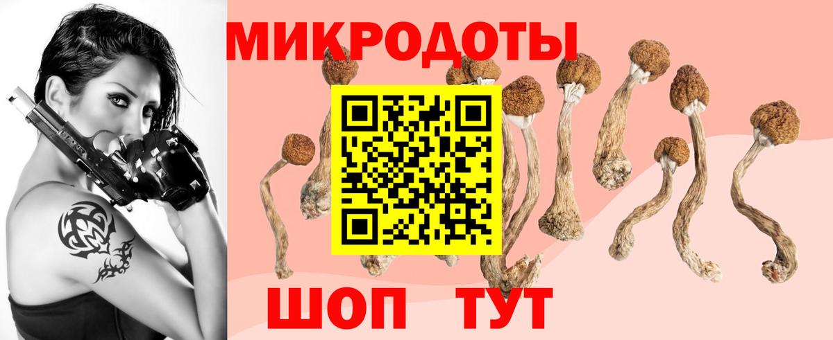 Псилоцибиновые грибы ЛСД  Псилоцибиновые грибы Magic Shrooms  Волжский  Вход с VPN 